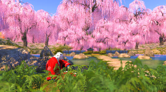 Radim Cherry Blossoms