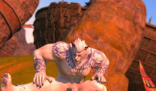 Radim Stretch Steppe 2