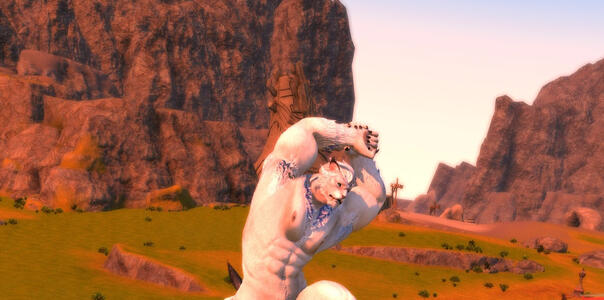 Radim Stretch Steppe 1